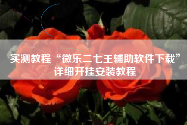 实测教程“微乐二七王辅助软件下载”详细开挂安装教程