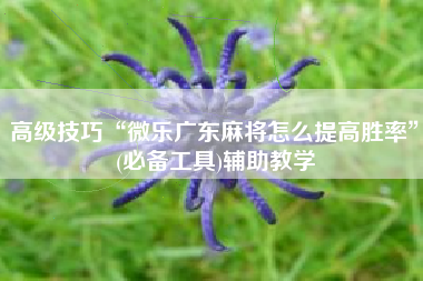 高级技巧“微乐广东麻将怎么提高胜率	”(必备工具)辅助教学