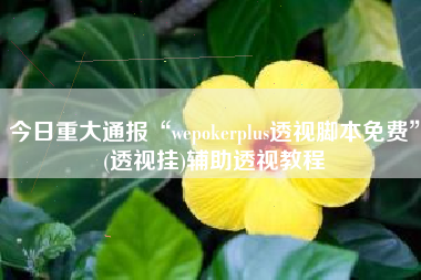 今日重大通报“wepokerplus透视脚本免费	”(透视挂)辅助透视教程