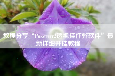 教程分享“Pokerrrr2透视挂作弊软件	”最新详细开挂教程