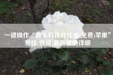 一键操作“微乐科技开挂器(免费)苹果”开挂(透视)最新辅助详细