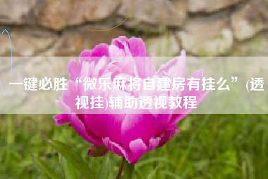 一键必胜“微乐麻将自建房有挂么”(透视挂)辅助透视教程