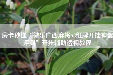 房卡秒懂“微乐广西麻将A3纸牌开挂神器评测”开挂辅助透视教程