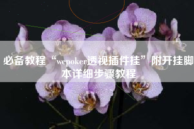 必备教程“wepoker透视插件挂”附开挂脚本详细步骤教程