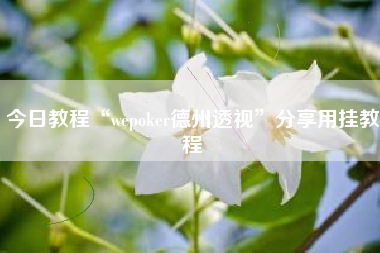 今日教程“wepoker德州透视	”分享用挂教程