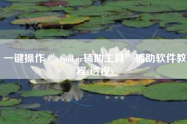 一键操作“aapoker辅助工具”辅助软件教程(透视)