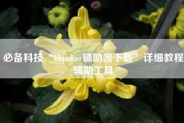 必备科技“hhpoker辅助器下载	”详细教程辅助工具