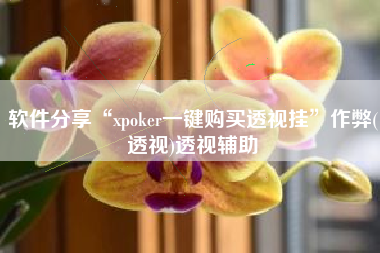 软件分享“xpoker一键购买透视挂	”作弊(透视)透视辅助