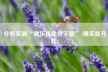 分析实测“微乐挂免费下载”(确实能开挂)