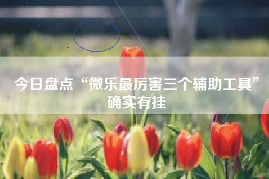 今日盘点“微乐最厉害三个辅助工具”确实有挂