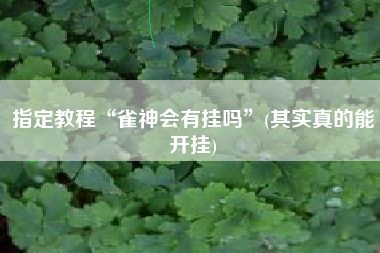 指定教程“雀神会有挂吗”(其实真的能开挂)