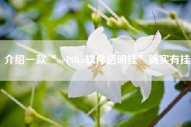 介绍一款“wePOke软件透明挂	”确实有挂