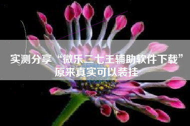 实测分享“微乐二七王辅助软件下载	”原来真实可以装挂