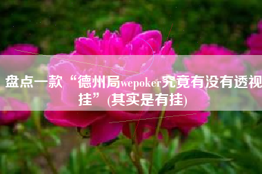 盘点一款“德州局wepoker究竟有没有透视挂”(其实是有挂)