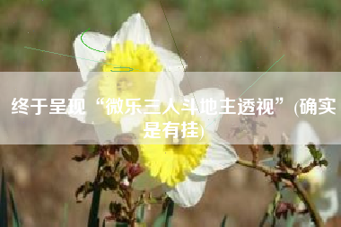 终于呈现“微乐三人斗地主透视”(确实是有挂)