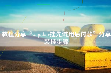 教程分享“wepoker挂先试用后付款”分享装挂步骤