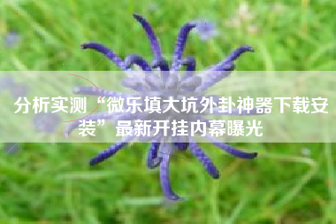 分析实测“微乐填大坑外卦神器下载安装”最新开挂内幕曝光