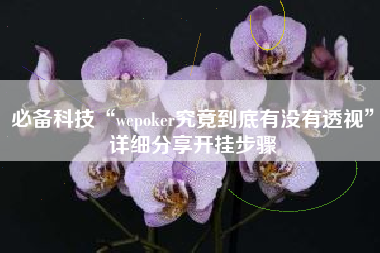 必备科技“wepoker究竟到底有没有透视”详细分享开挂步骤