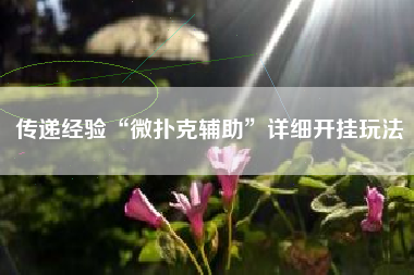 传递经验“微扑克辅助	”详细开挂玩法