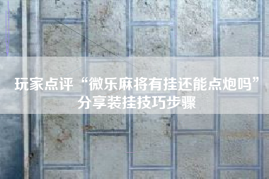 玩家点评“微乐麻将有挂还能点炮吗	”分享装挂技巧步骤