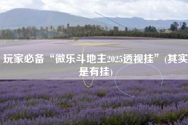 玩家必备“微乐斗地主2025透视挂	”(其实是有挂)