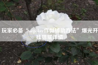 玩家必备“wepoker作弊辅助方法”爆光开挂猫腻详情