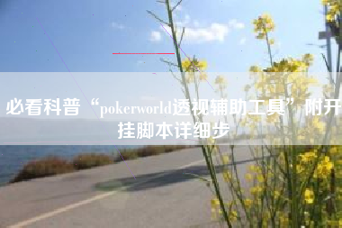 必看科普“pokerworld透视辅助工具”附开挂脚本详细步