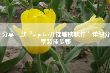 分享一款“wepoker开挂辅助软件	”详细分享装挂步骤