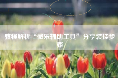 教程解析“微乐辅助工具”分享装挂步骤