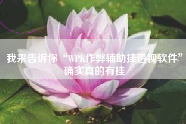 我来告诉你“WPK作弊辅助挂透视软件	”确实真的有挂