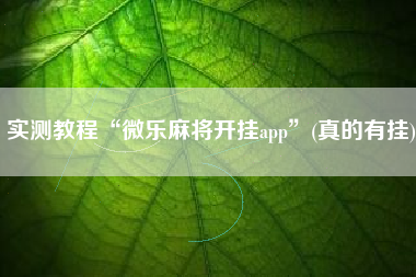 实测教程“微乐麻将开挂app”(真的有挂)