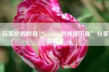 玩家必看教程“agpoker透视挂下载”分享装挂详