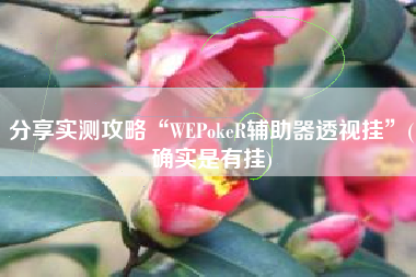分享实测攻略“WEPokeR辅助器透视挂”(确实是有挂)
