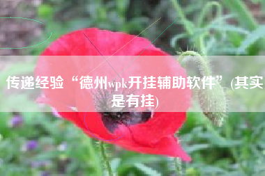 传递经验“德州wpk开挂辅助软件”(其实是有挂)