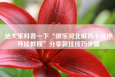 给大家科普一下“微乐河北麻将小程序开挂教程”分享装挂技巧步骤