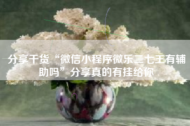 分享干货“微信小程序微乐二七王有辅助吗”分享真的有挂给你