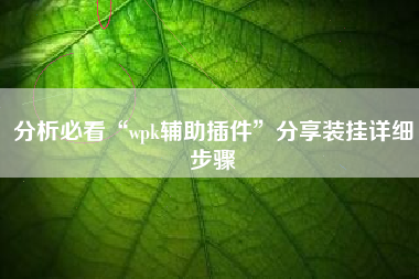 分析必看“wpk辅助插件”分享装挂详细步骤