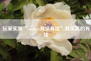 玩家实测“wpoker有没有挂”其实真的有挂