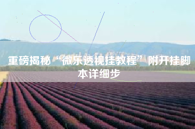 重磅揭秘“微乐透视挂教程”附开挂脚本详细步