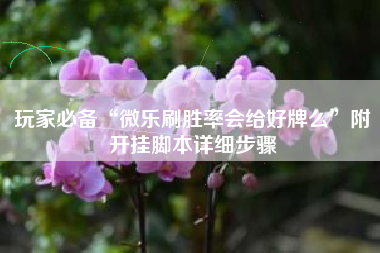 玩家必备“微乐刷胜率会给好牌么	”附开挂脚本详细步骤