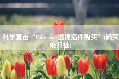 科学直击“Pokerrrr2透视插件购买”(确实能开挂)
