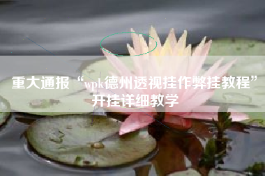 重大通报“wpk德州透视挂作弊挂教程	”开挂详细教学