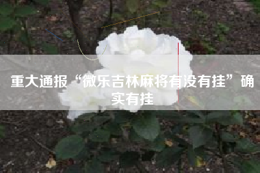 重大通报“微乐吉林麻将有没有挂”确实有挂