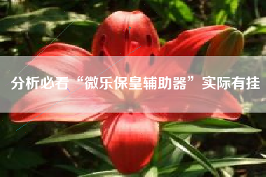 分析必看“微乐保皇辅助器	”实际有挂