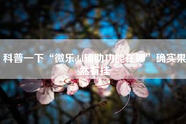 科普一下“微乐dd辅助功能在哪”确实果然有挂