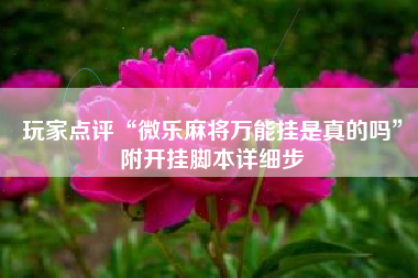 玩家点评“微乐麻将万能挂是真的吗”附开挂脚本详细步