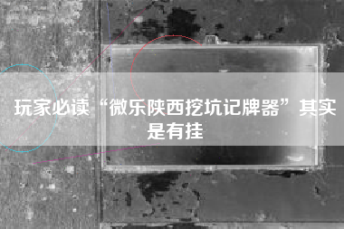 玩家必读“微乐陕西挖坑记牌器”其实是有挂