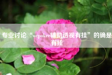 专业讨论“wepoker辅助透视有挂”的确是有挂
