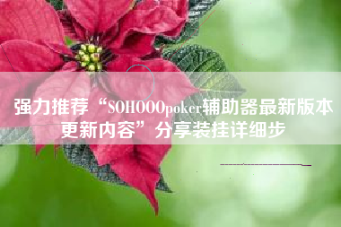 强力推荐“SOHOOOpoker辅助器最新版本更新内容	”分享装挂详细步
