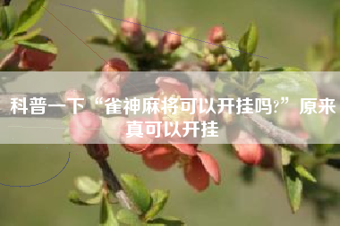 科普一下“雀神麻将可以开挂吗?”原来真可以开挂